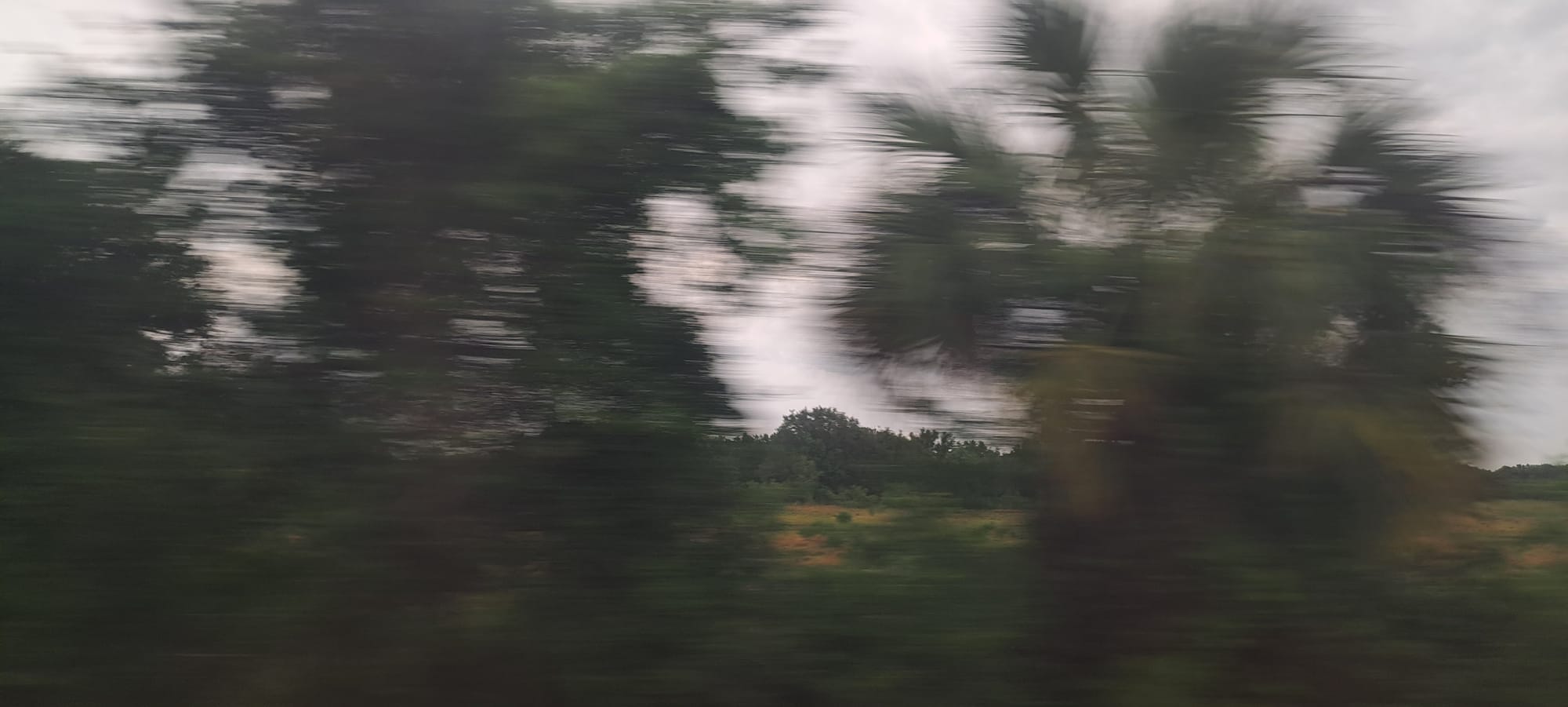 Miami -> Washington, D.C.