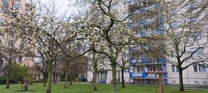 Last days in Berlin