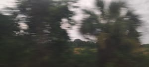 Miami -> Washington, D.C.