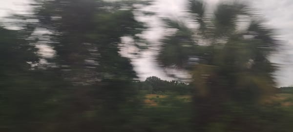 Miami -> Washington, D.C.