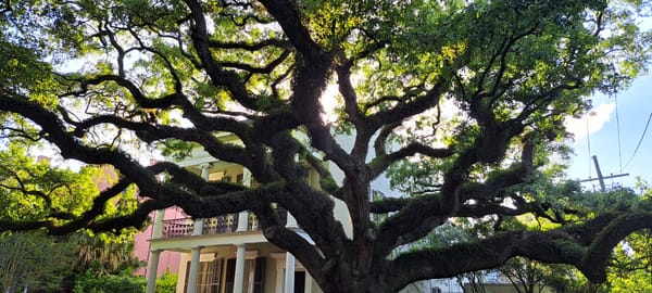 New Orleans
